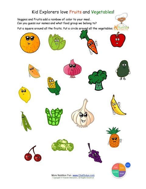 Fall Vegetable And Fruit