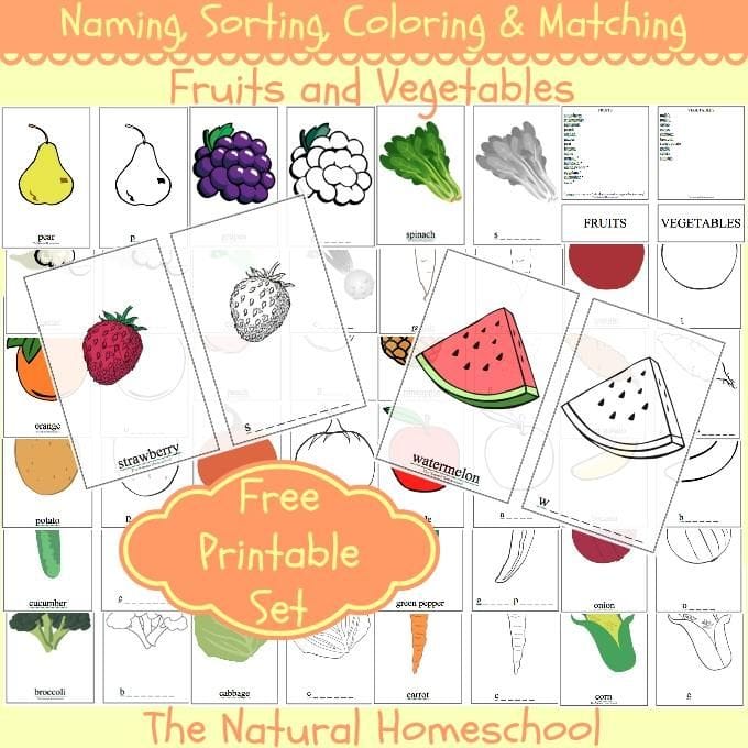 Printable Fruits And Vegetables