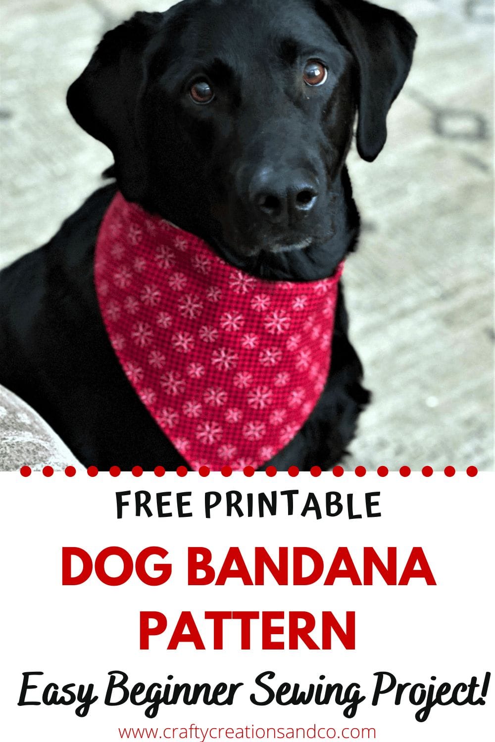 Free Printable Dog Bandana Pattern