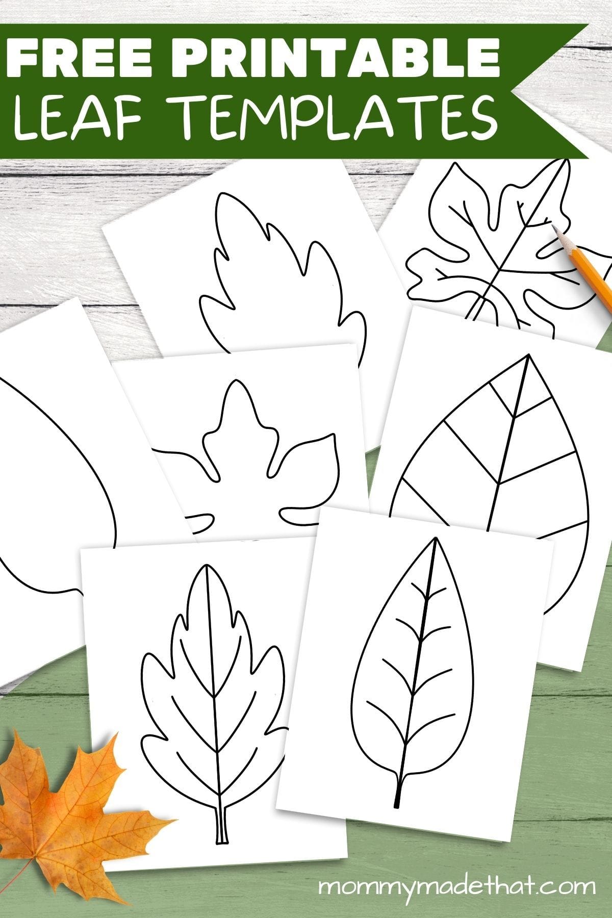 Free Printable Leaf Patterns