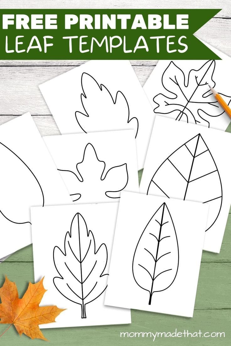 Printable Leaf Shapes To Cut Out