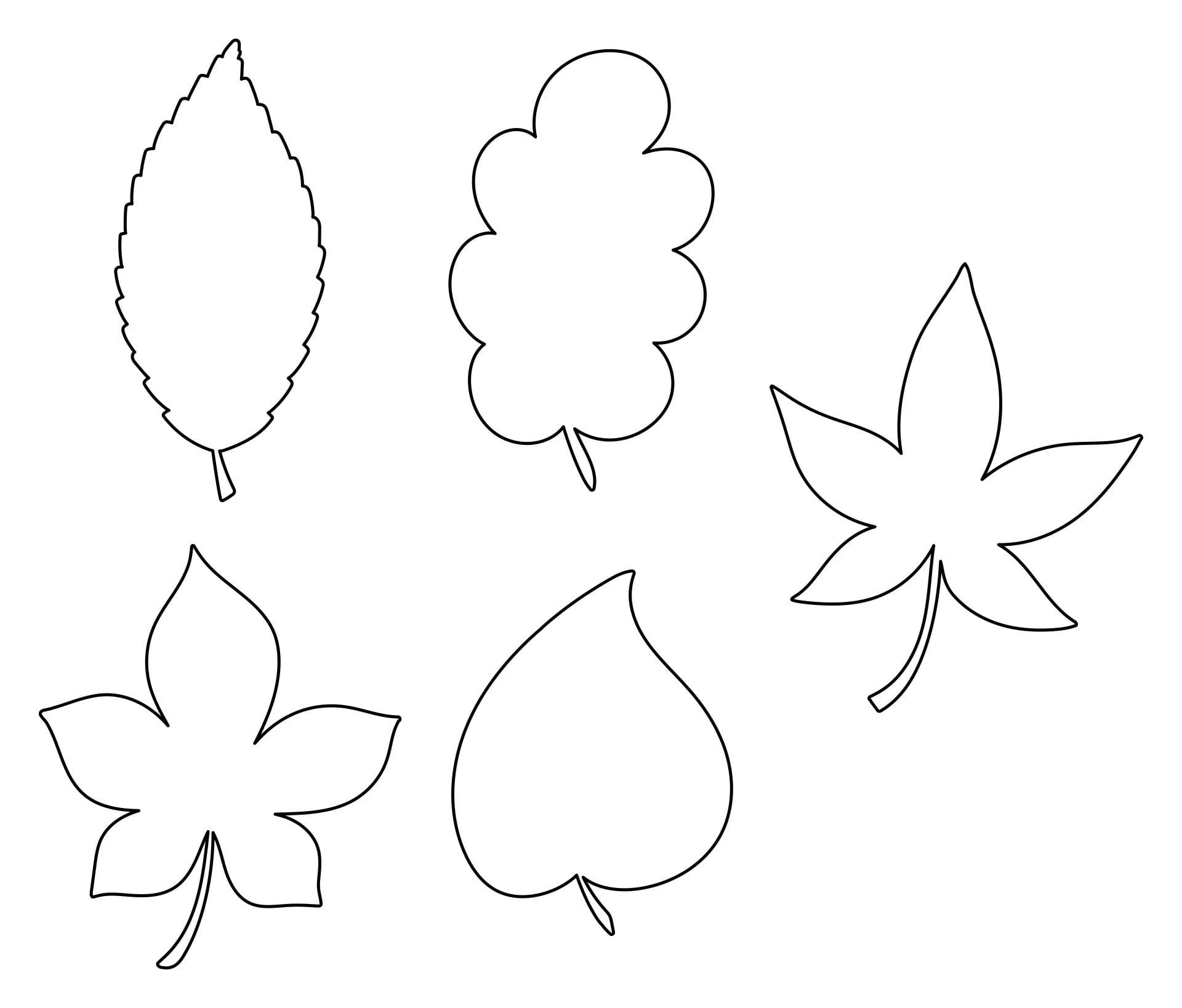 Free Printable Leaf Patterns