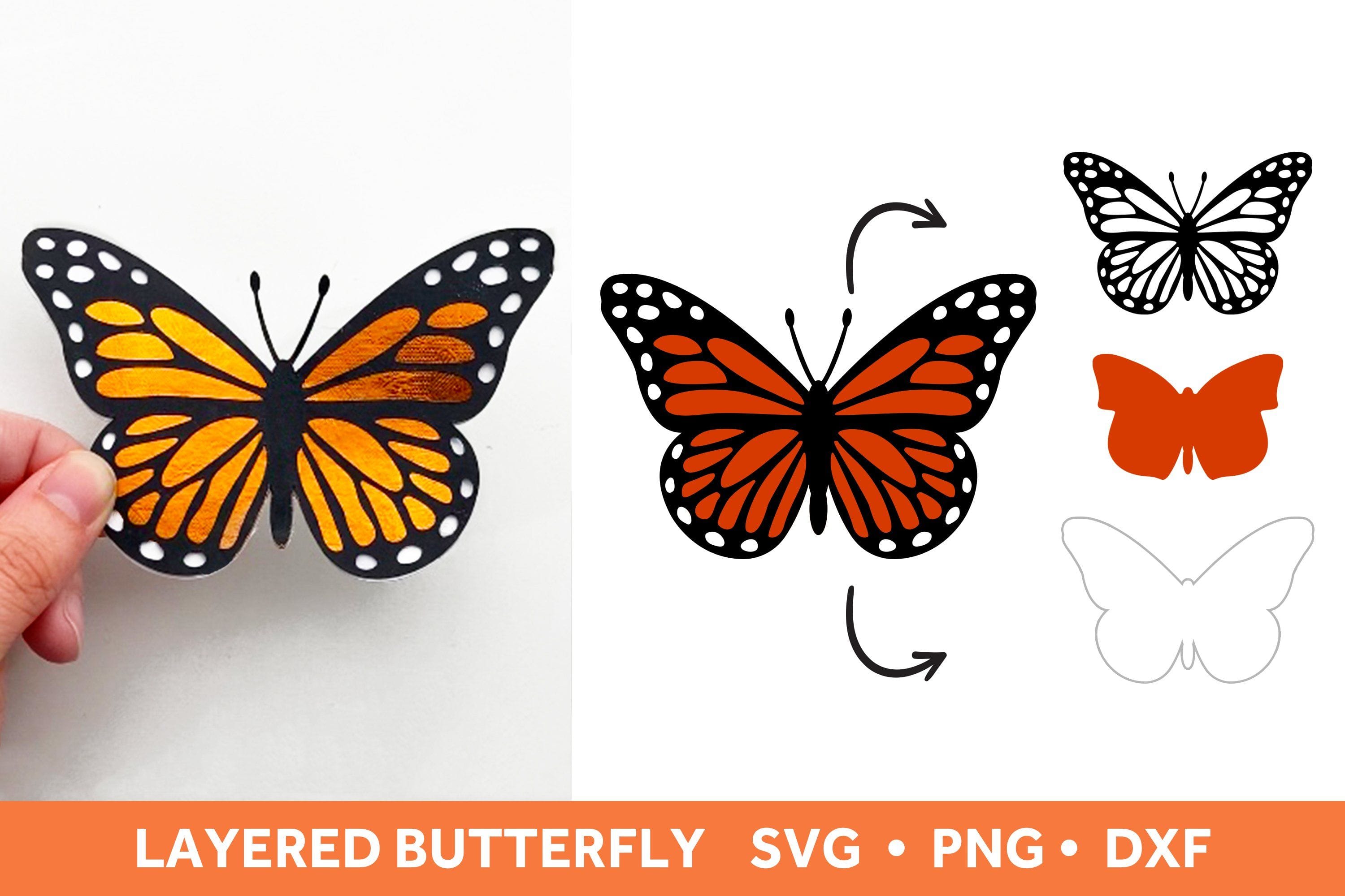 Layered 3D Butterfly Svg Free