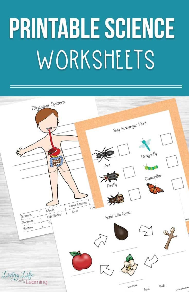 Free Printable Science Puzzles