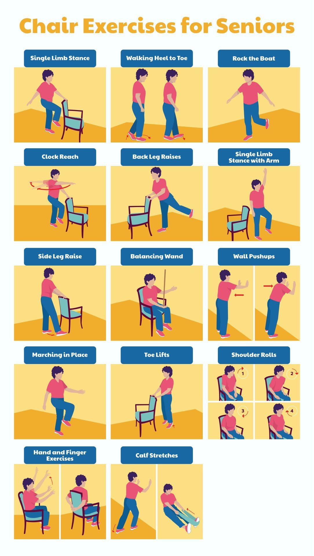 Chair Gym Exercises