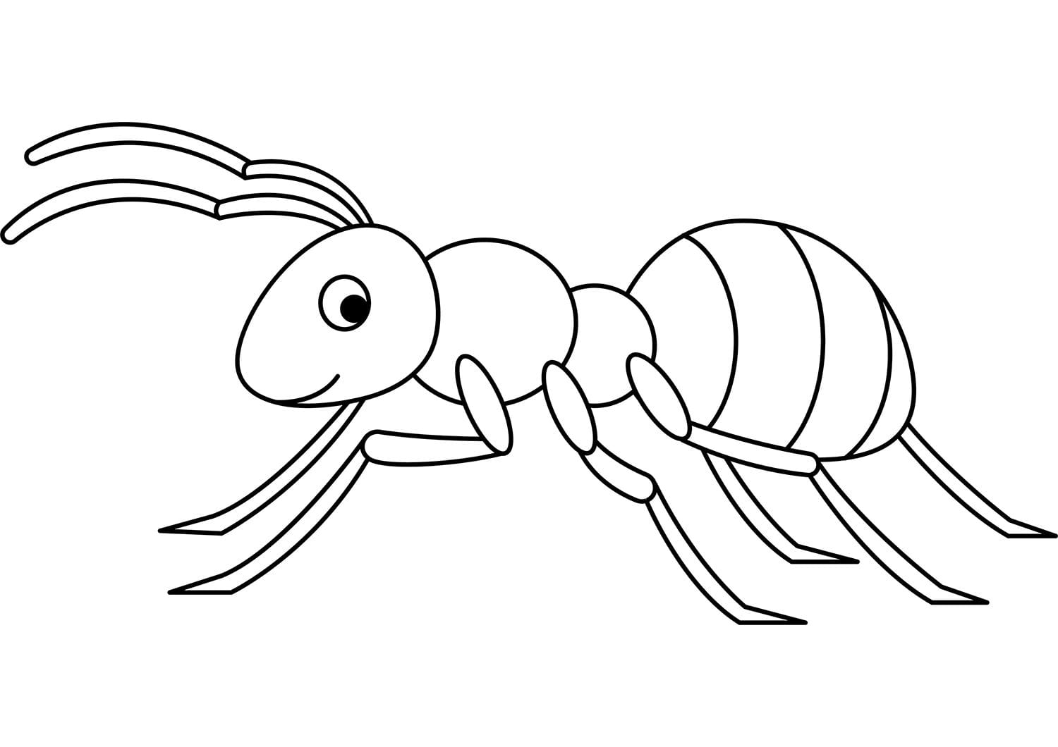 Ant Printable Template