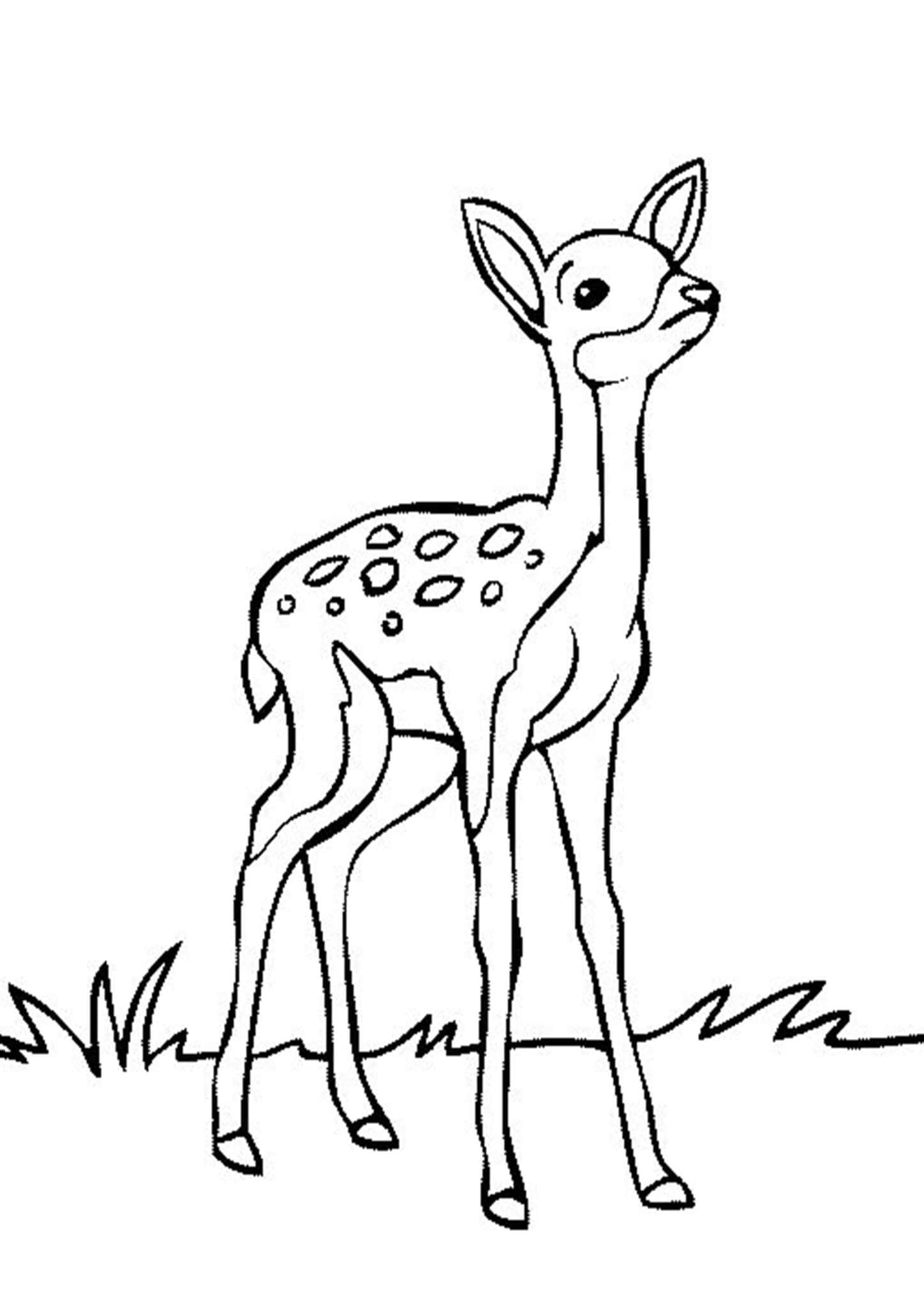 Free Easy To Print Deer Coloring Pages