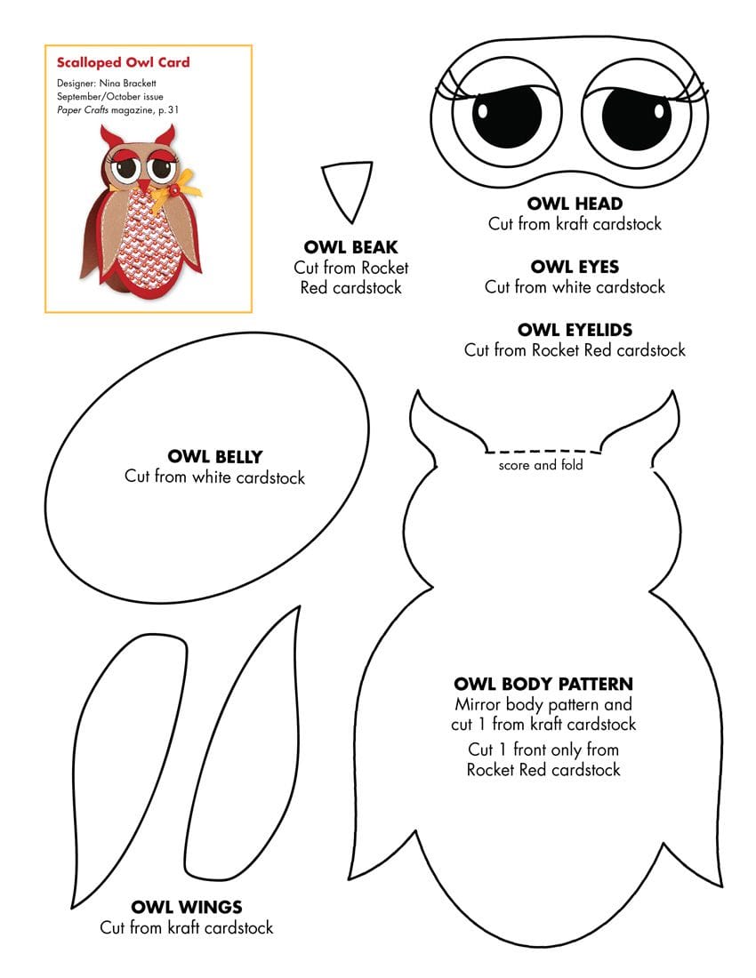 Owl Template