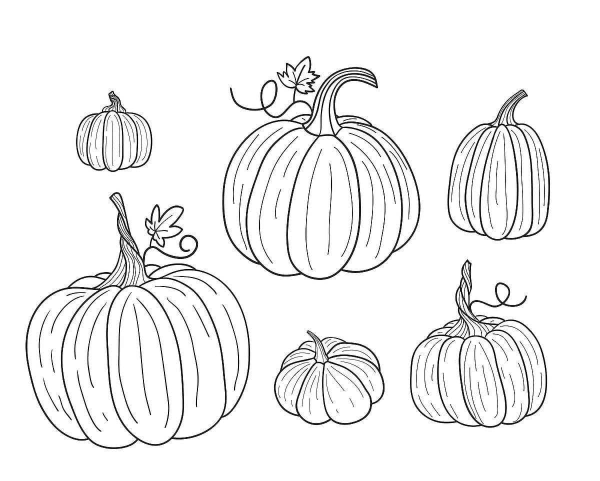 Free Printables ~ Chalkboard Autumn Pumpkin