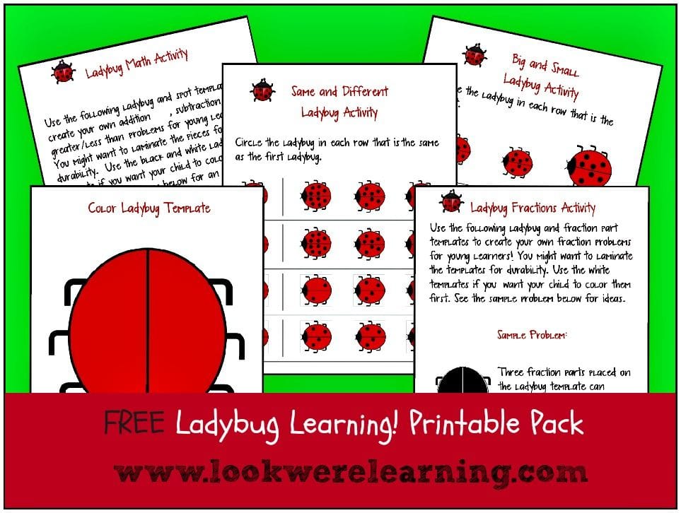 Printable Activities for The Grouchy Ladybug