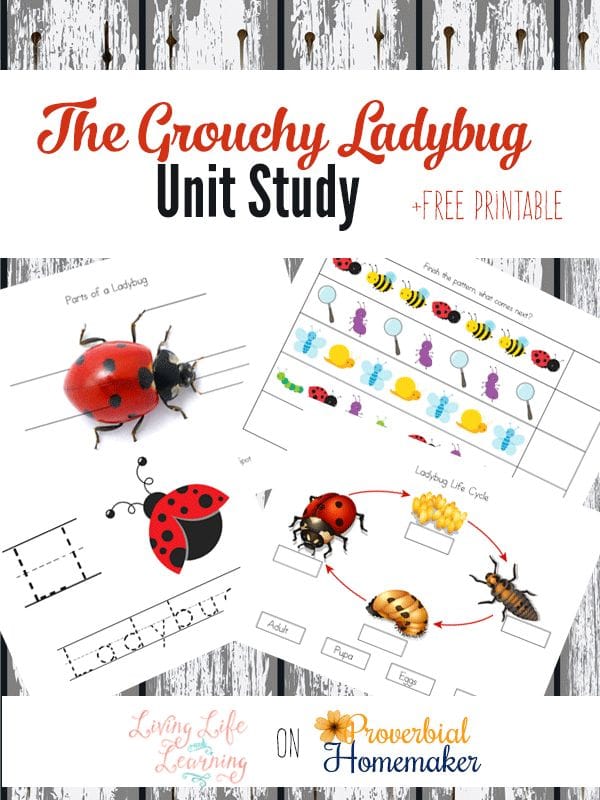 Free Printable Grouchy Ladybug Worksheets