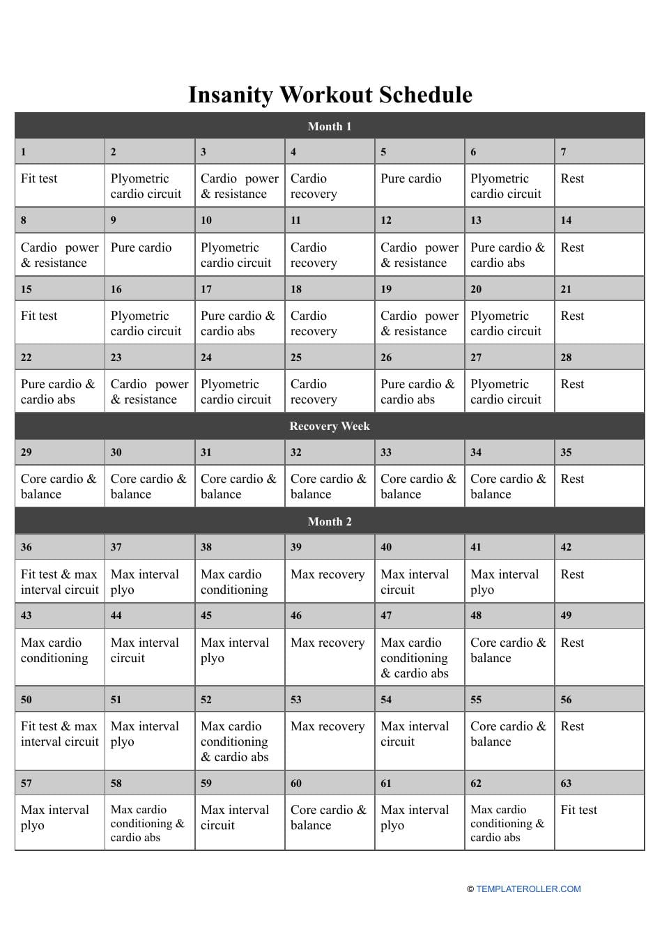 Insanity Workout Schedule Download Printable PDF