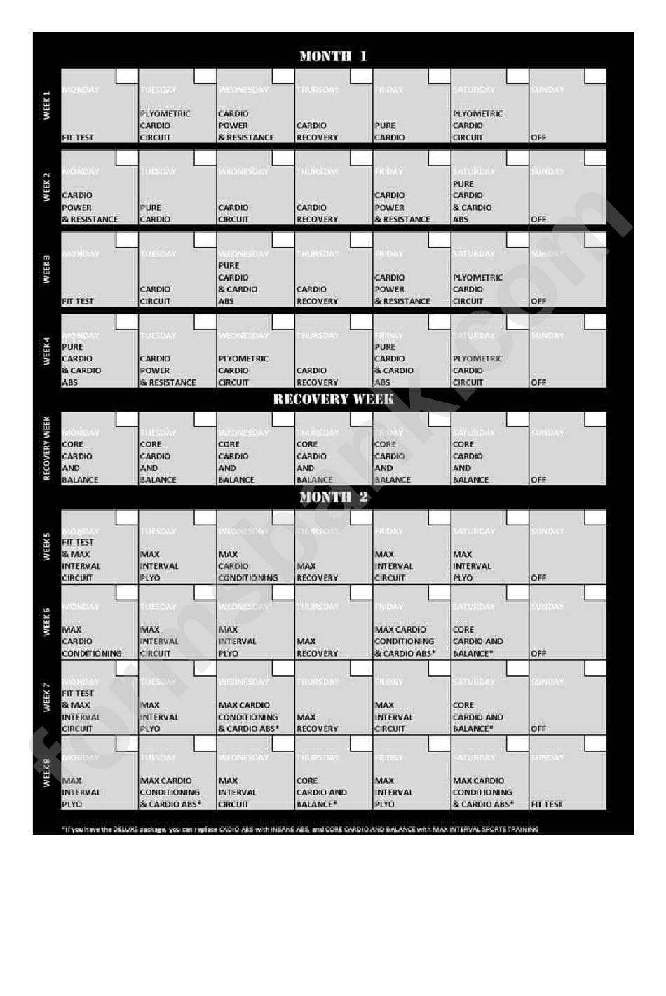 Insanity Workout Schedule printable pdf download