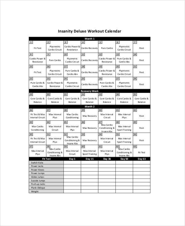 FREE 6+ Insanity Workout Sheet Samples Templates in Word