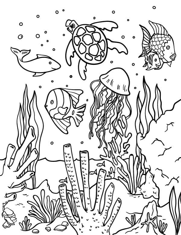 20+ Free Printable Ocean Coloring Pages