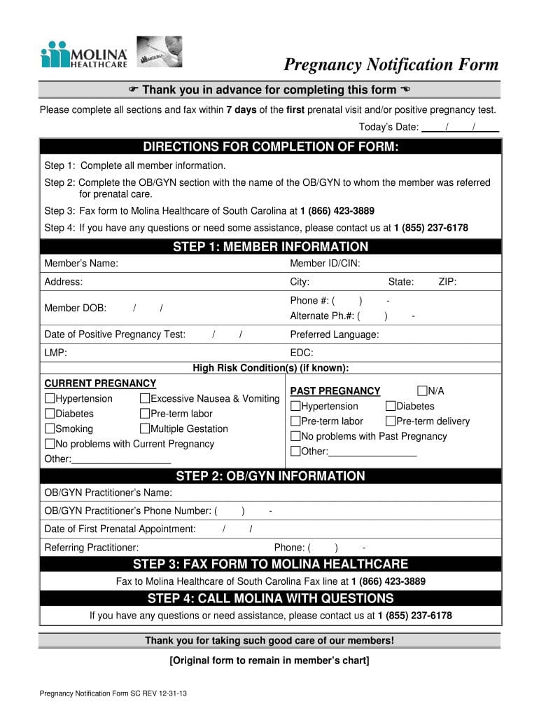 Printable Positive Pregnancy Test Form