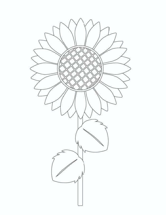 3 Free Printable Sunflower Pattern Templates