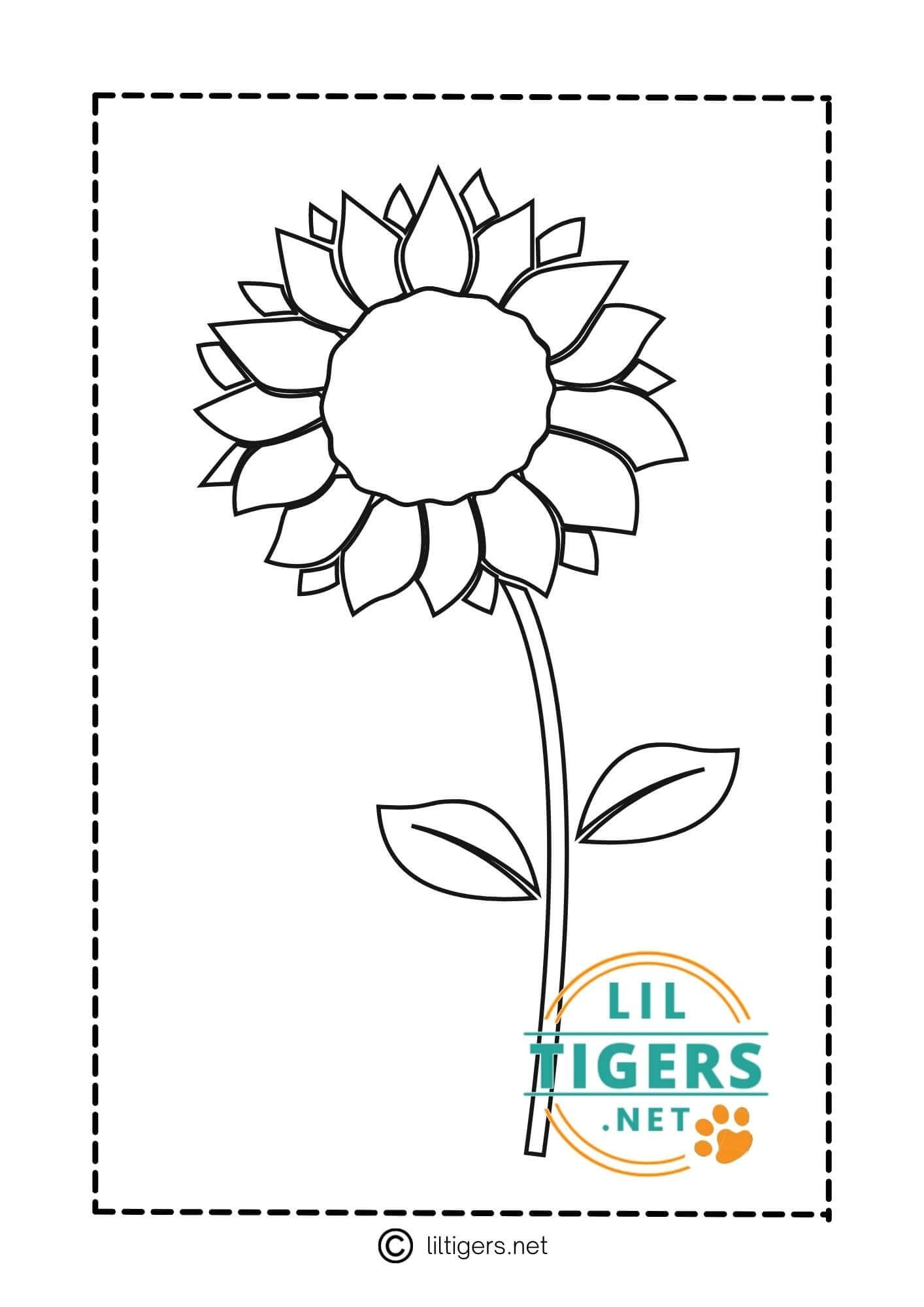 7 Free Printable Sunflower Templates