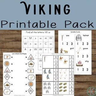 Colour and Label Viking Artefacts