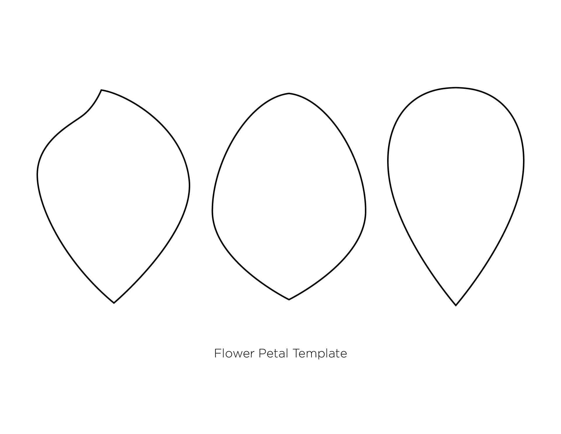 10 Free Flower Petal Templates To Print Now