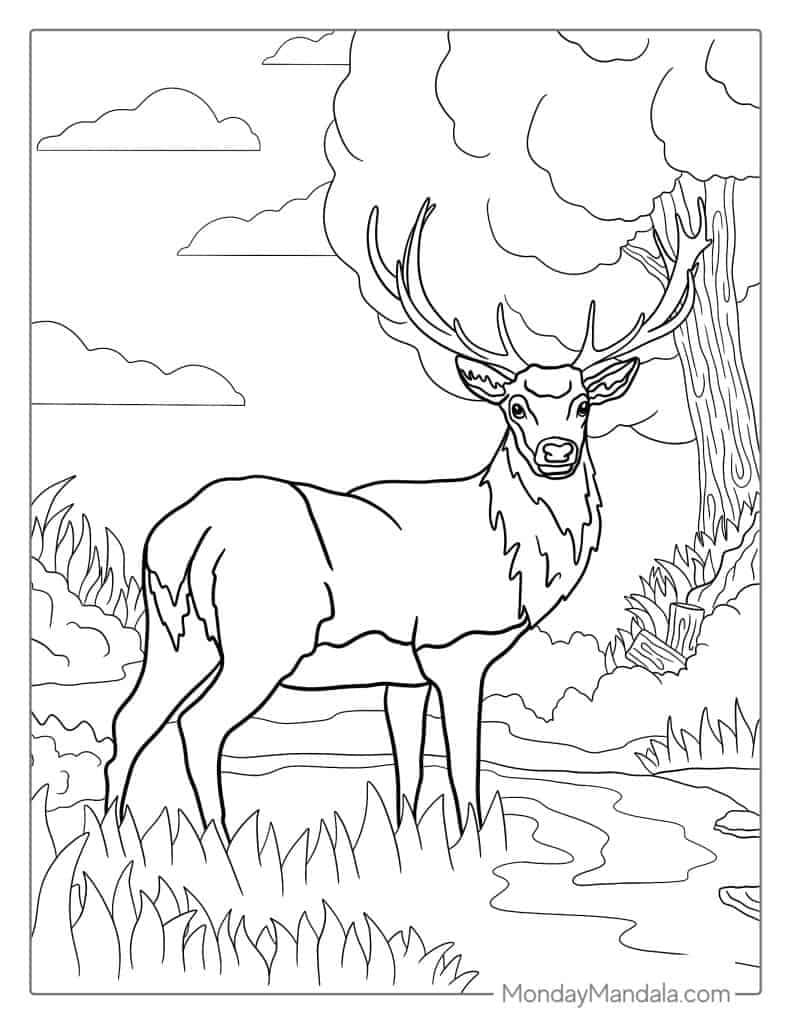 Access free printable deer coloring pages