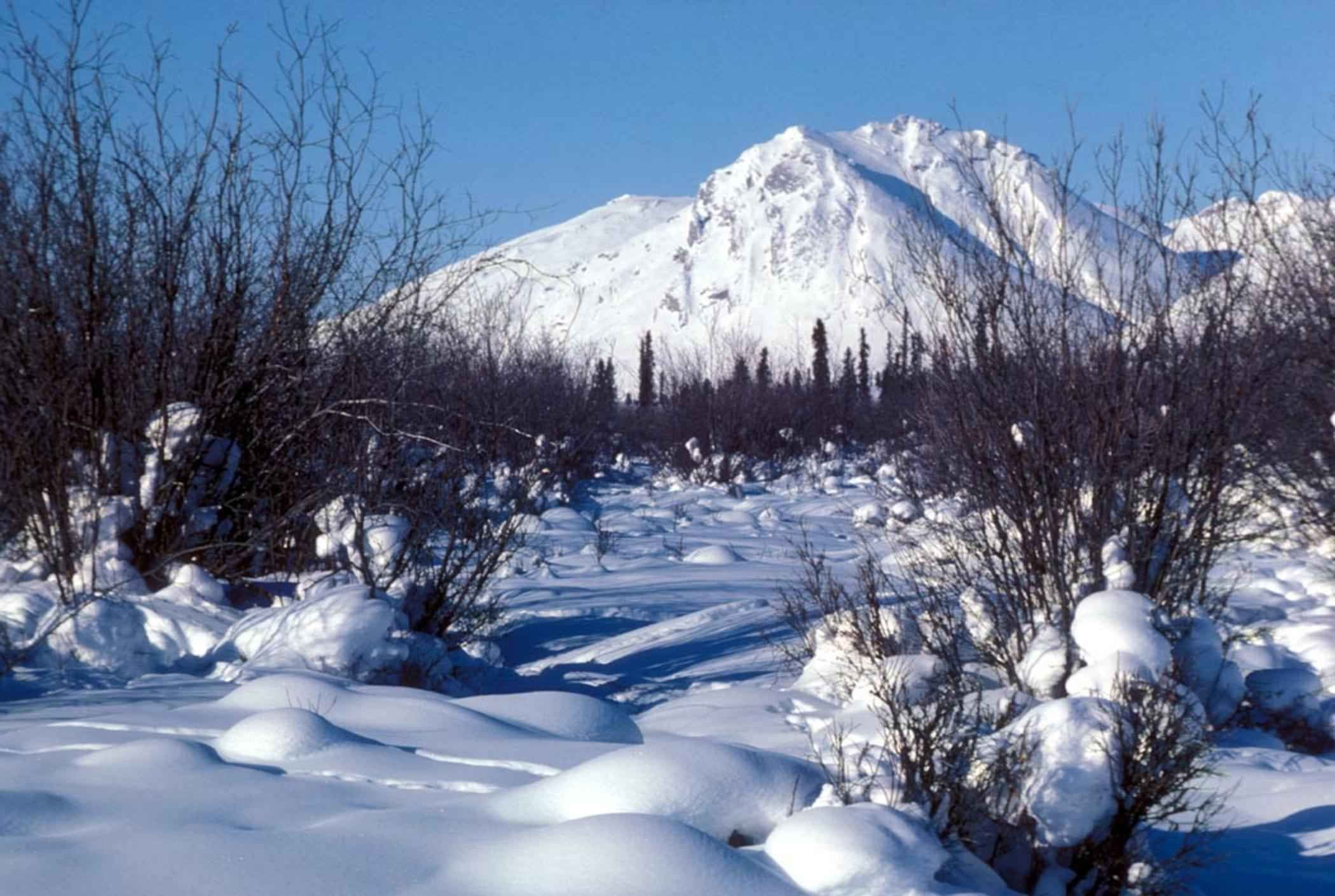 Arctic Scene Snow Globe