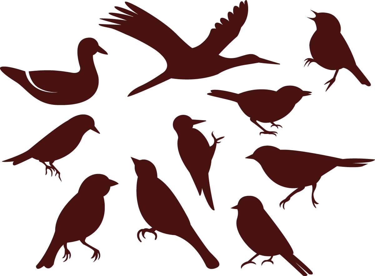 Bird Silhouette Panel Pattern