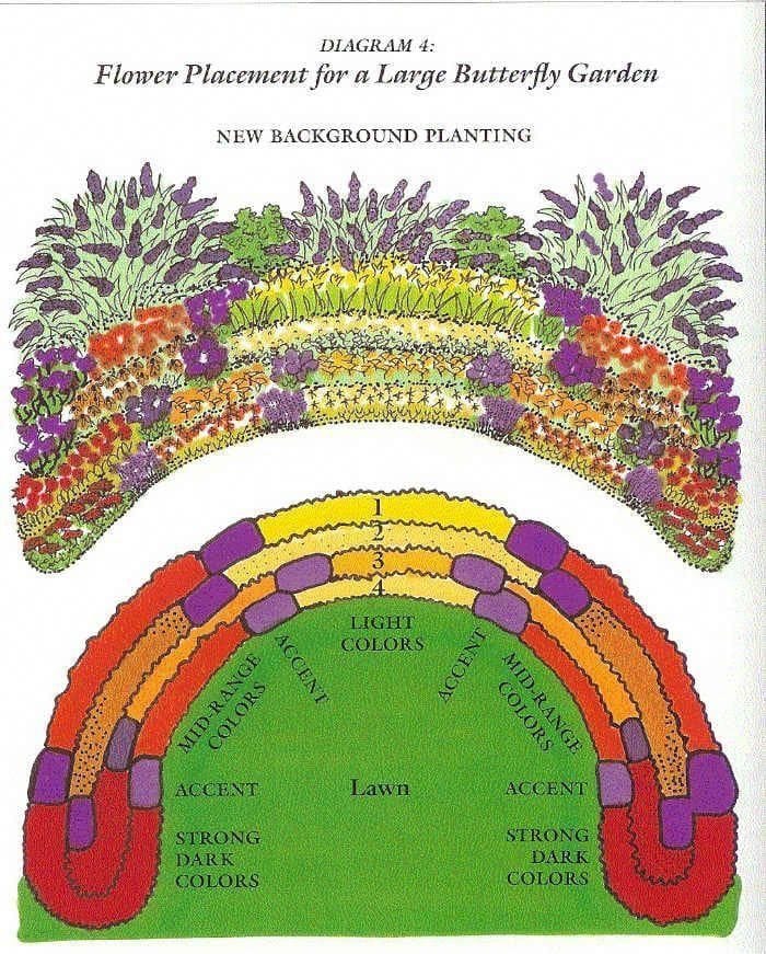 Butterfly Garden Template