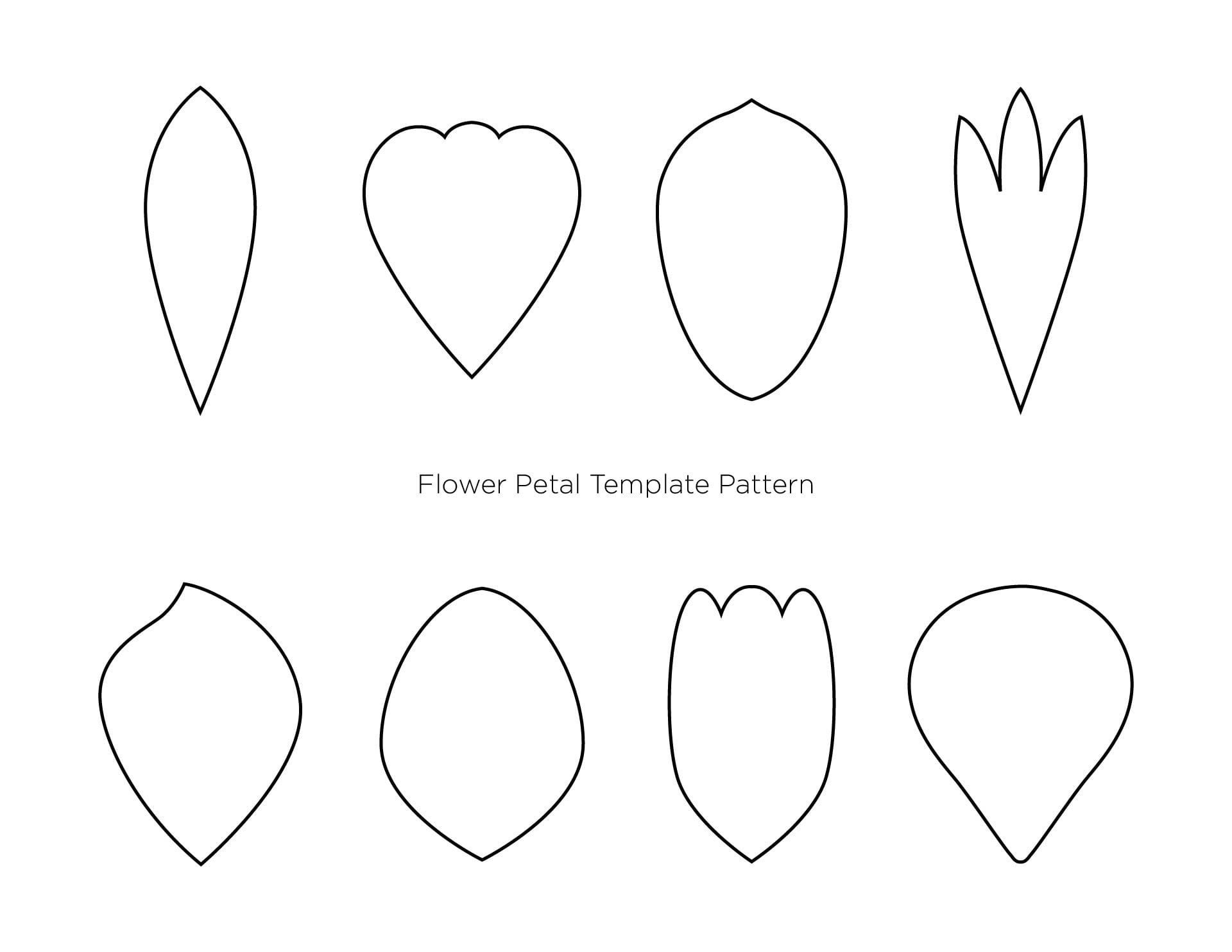 Carnation Petal Template