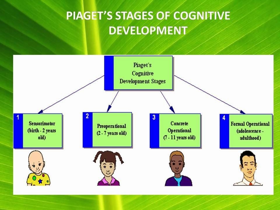 Cognitive Development in Children