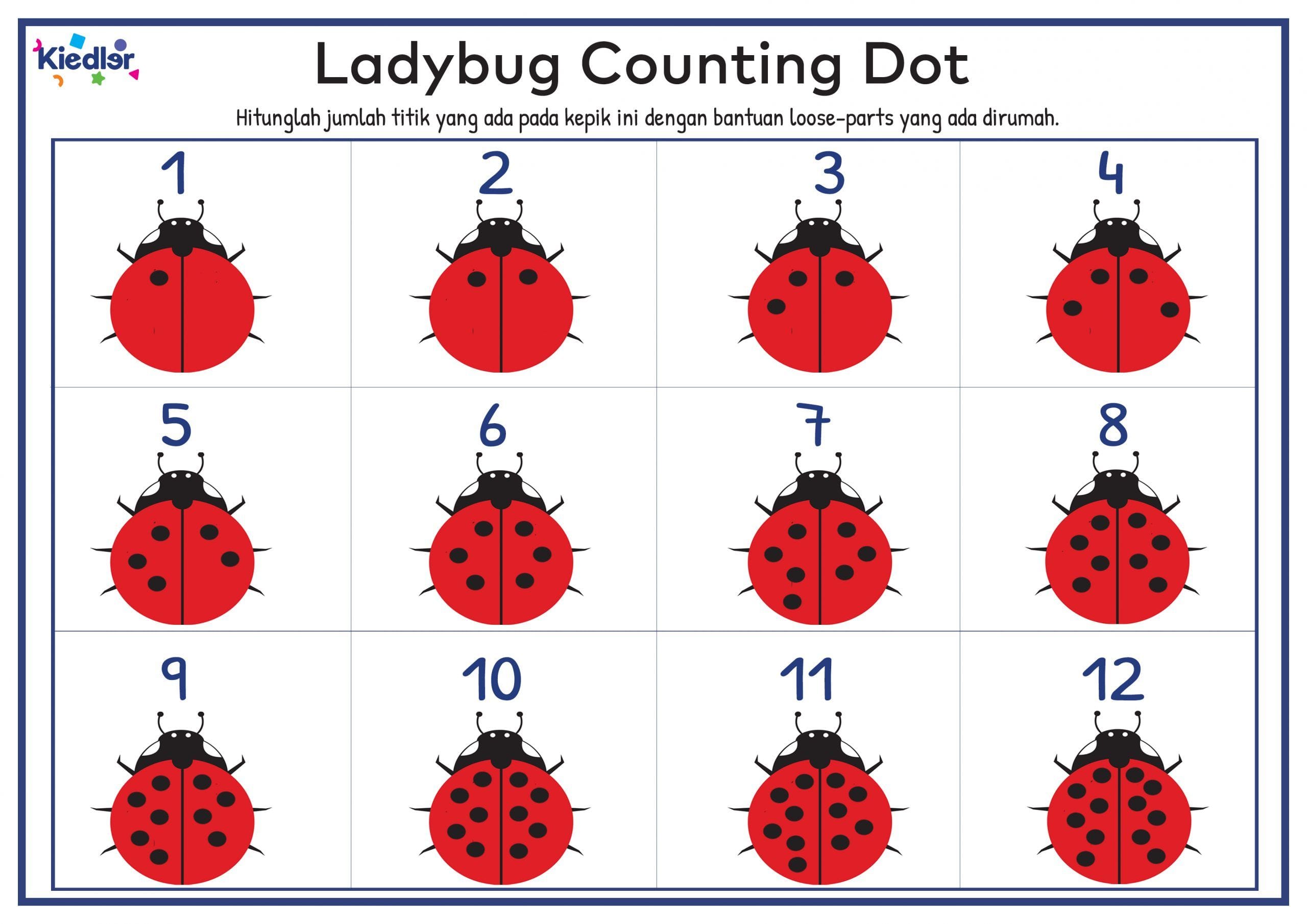 Counting Ladybugs