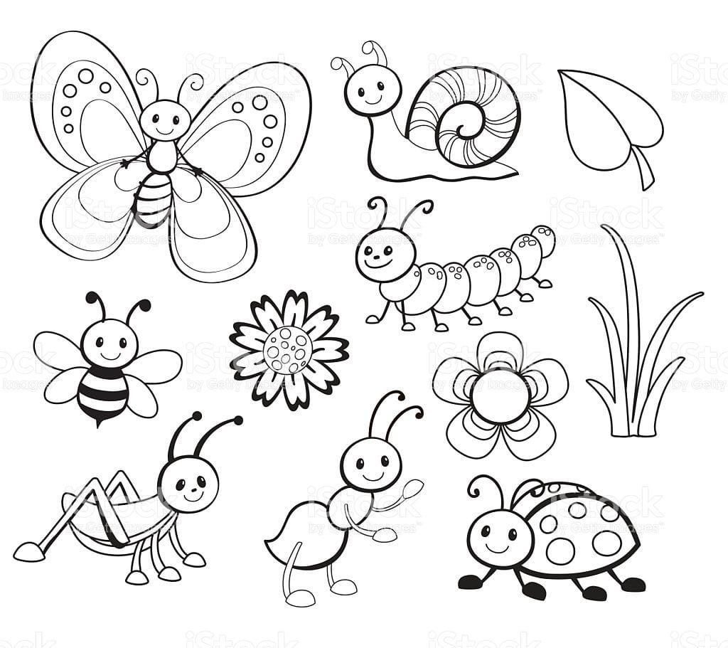 20 Cute Bug Coloring Pages to Print