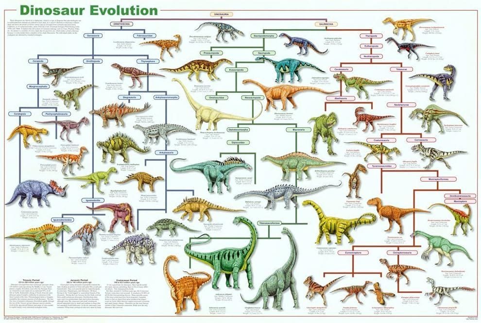 Dinosaur Diagrams