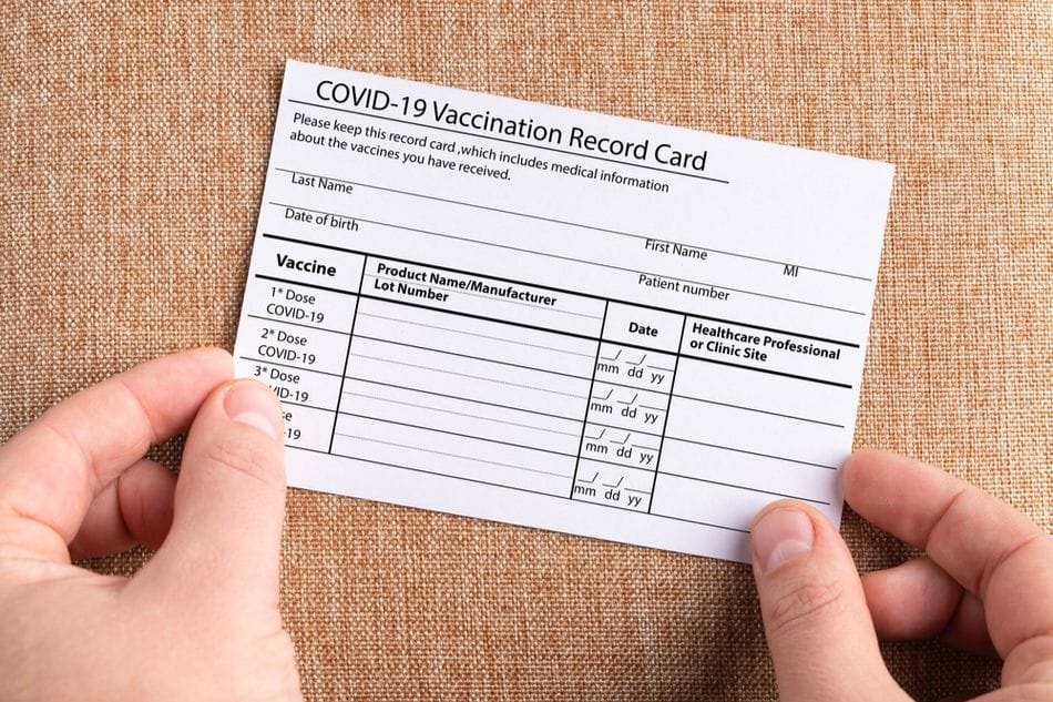 Free Dog Vaccination Record Printable PDF Template