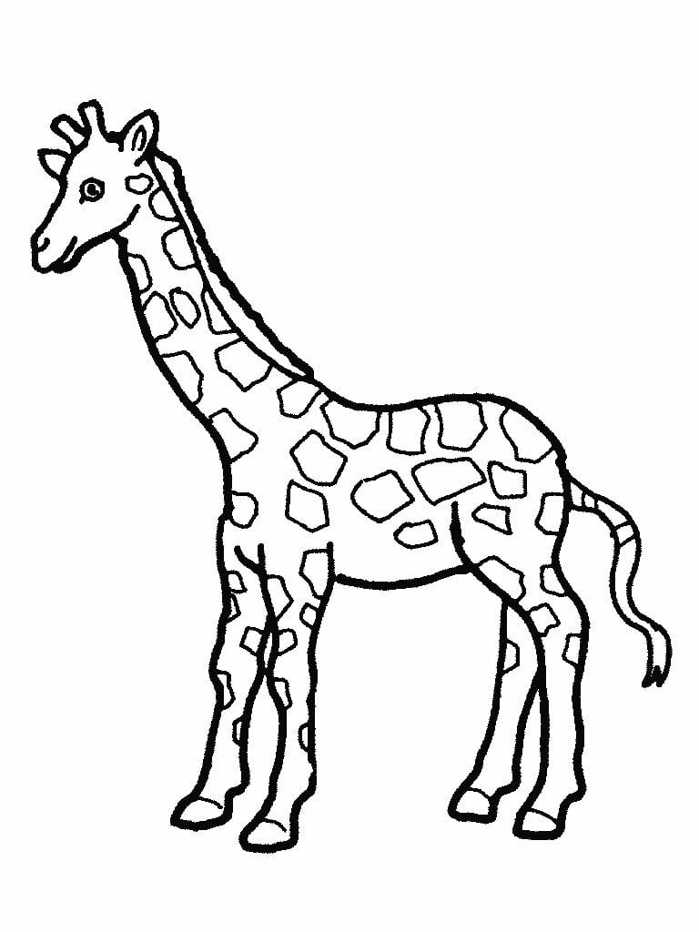 Giraffe Coloring Page