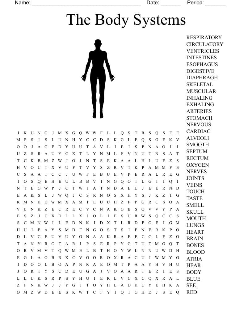 Human Body Systems Word Search