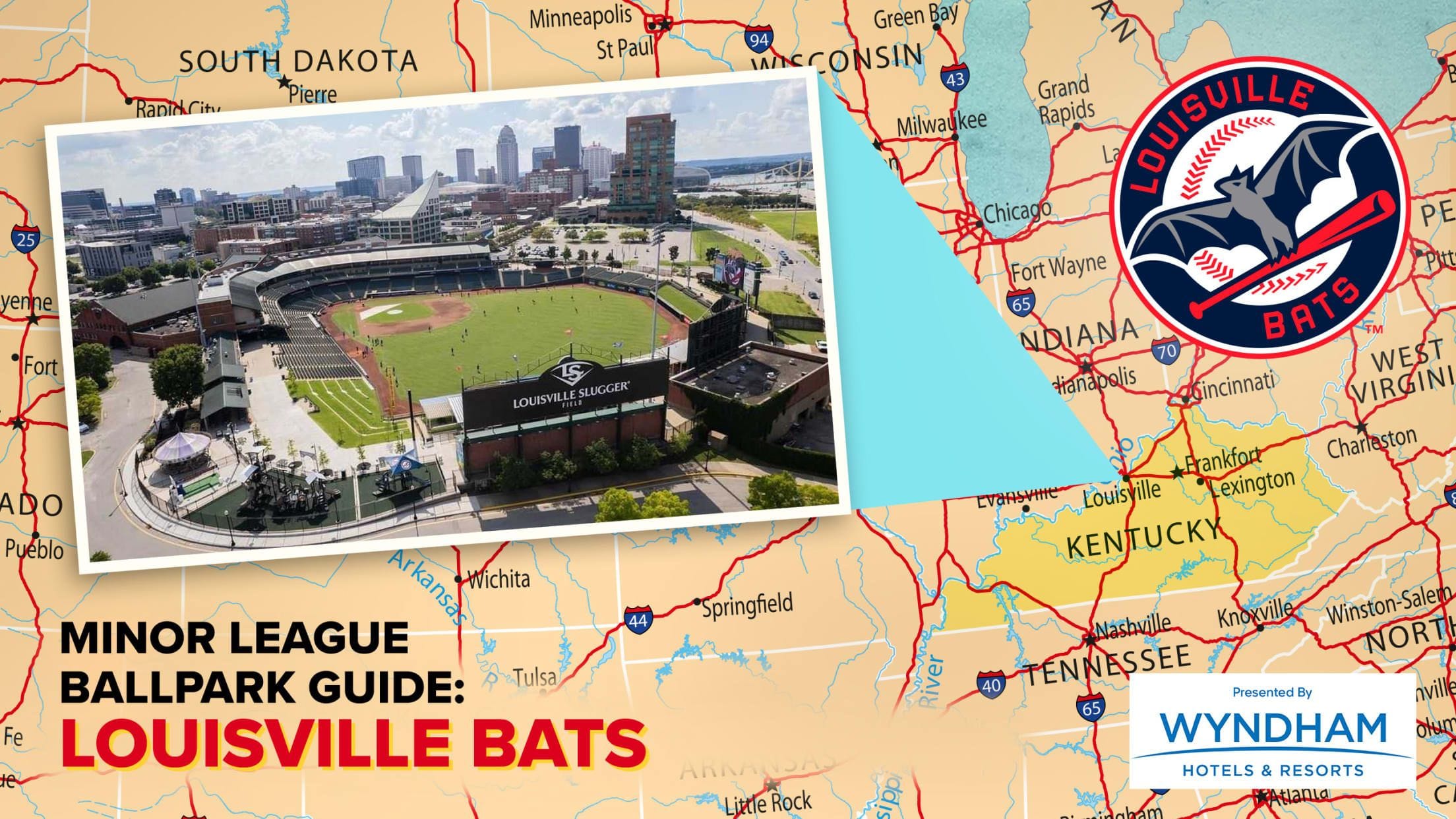 Get Involved with the Bats Community