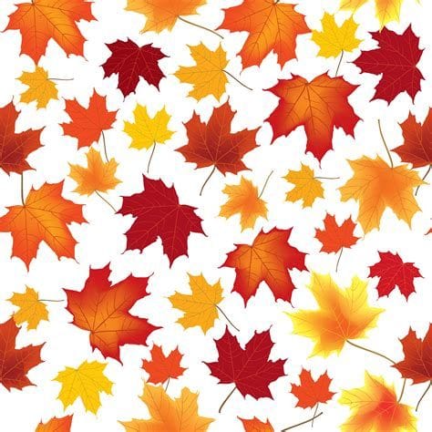 Maple Leaf Pattern