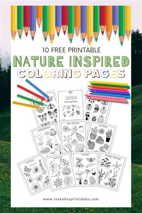 Nature-Inspired Coloring Pages