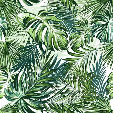 Palm Leaf Pattern