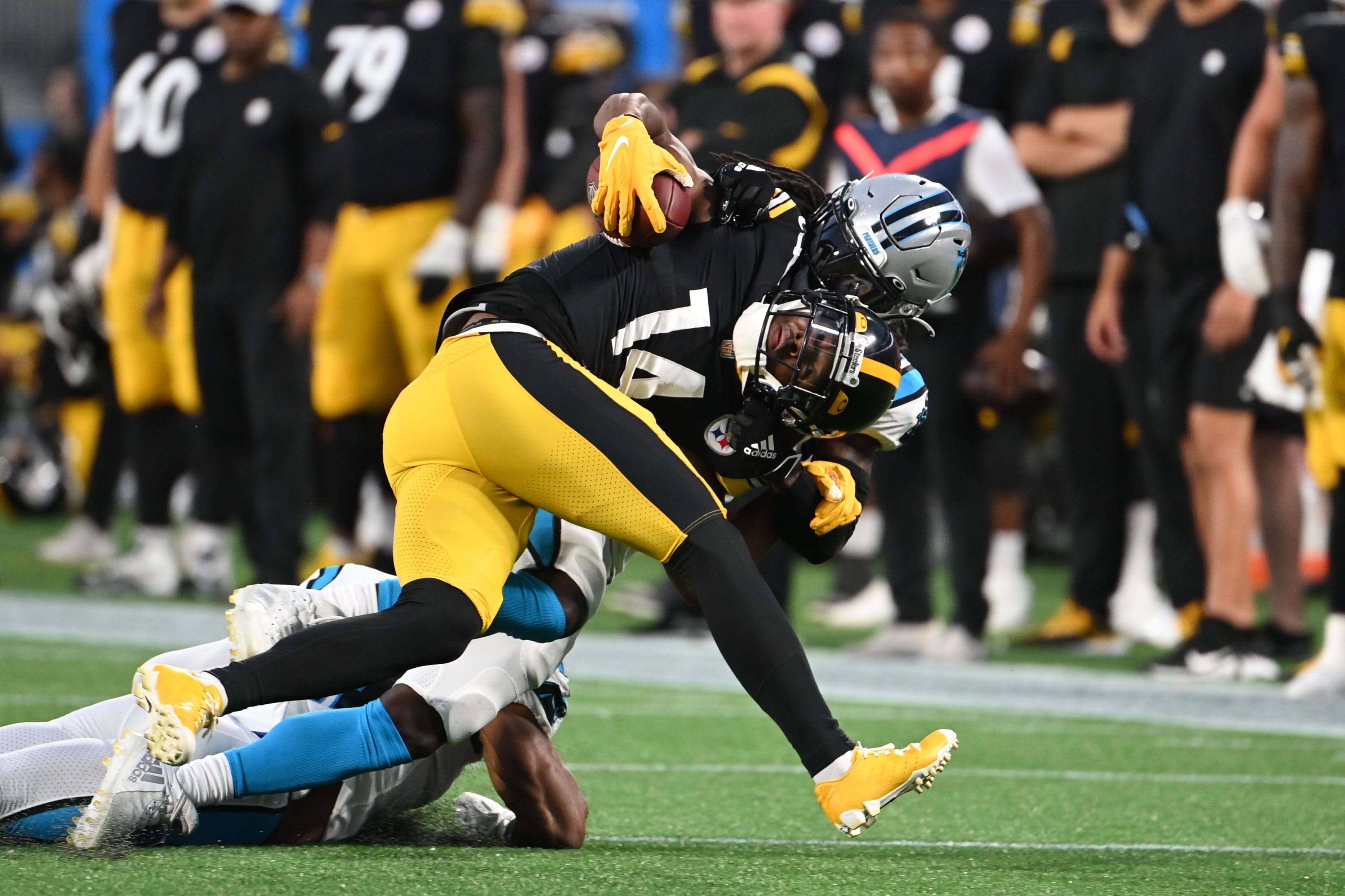 Panthers at Steelers Preseason Game