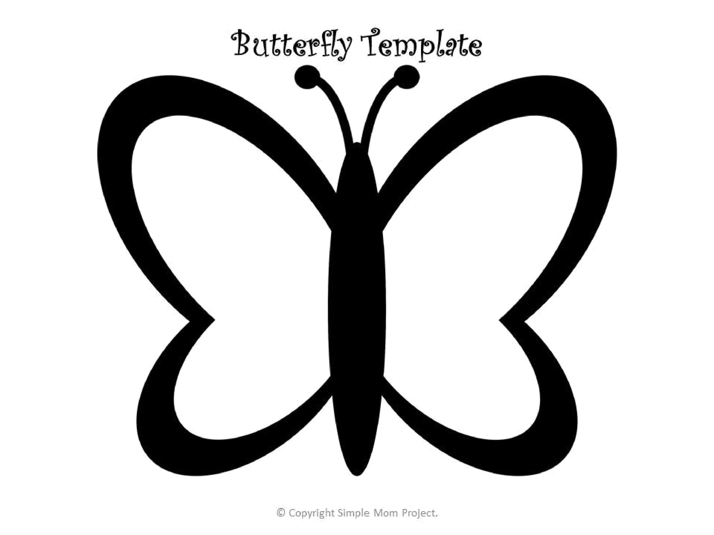 Papillon Butterfly Template