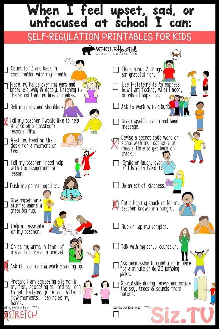 Self-Regulation Checklist