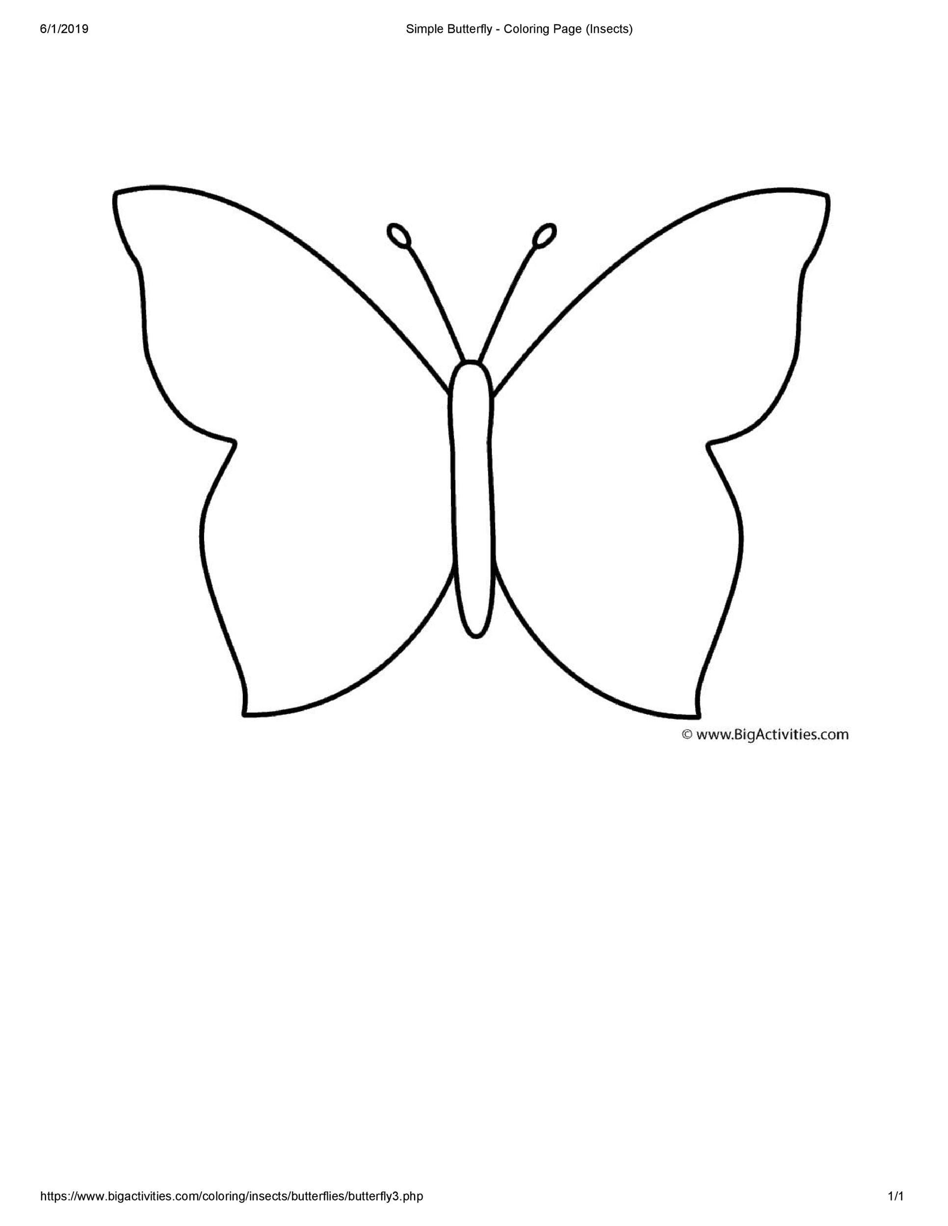 Simple Butterfly Template