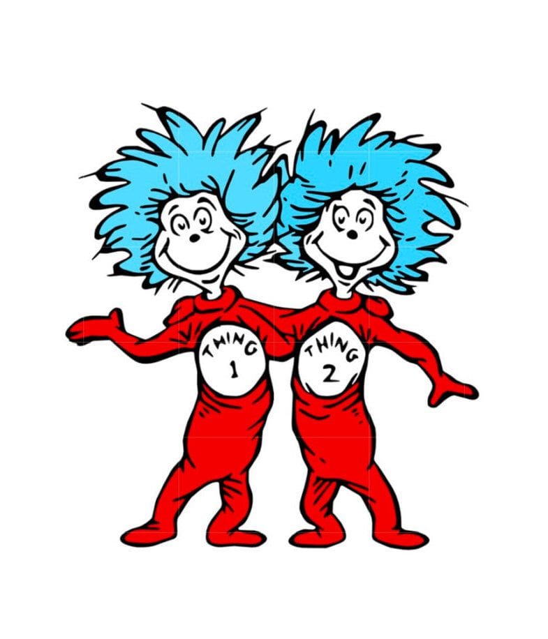 Thing 1 and Thing 2 Education