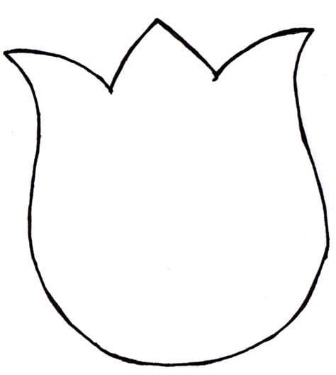 Tulip Petal Template