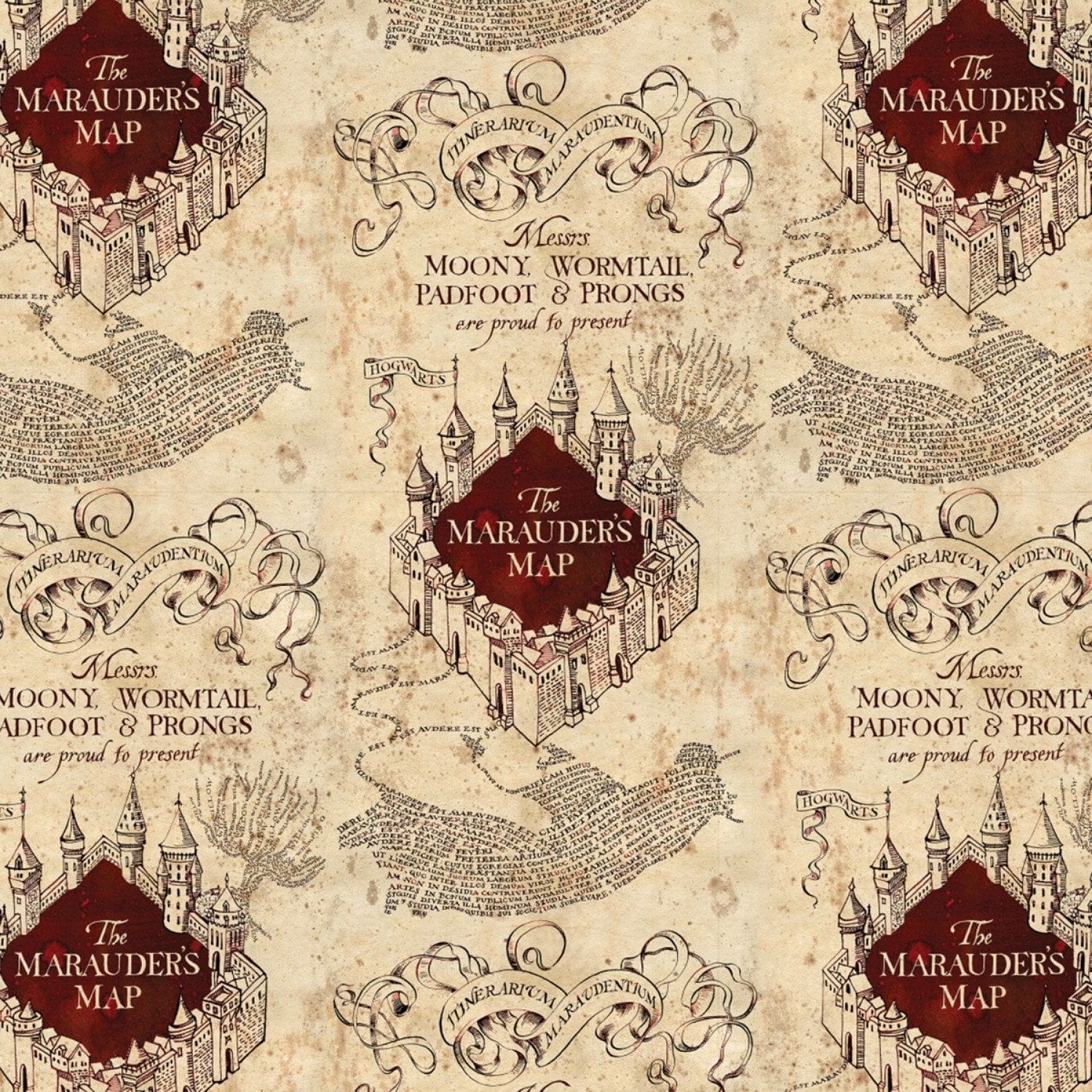 Wizarding World Map Birthday Card